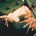 闪电下载手机版:快速便捷的手机应用下载利器,畅享无限资源! i81b6mo8ou