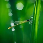 集芳阁云:品味自然之美与人文情怀的完美结合 lq3siw