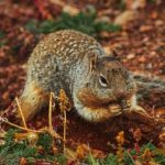 雄心勃勃近义词:追求卓越与不懈奋斗的精神表达 m4hg7w