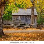 集芳阁地址:探寻这家美食餐厅的详细位置与交通指南 mr344vby