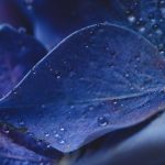 随缘居官网入口2022:探索心灵宁静的理想居所与服务 q2p5ja3kk