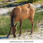 集云阁云搜在线:探索智能搜索新体验,助力信息高效获取 zi1c9e5q